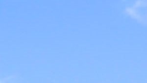 Avalon Oaks Apartments In Columbus Oh