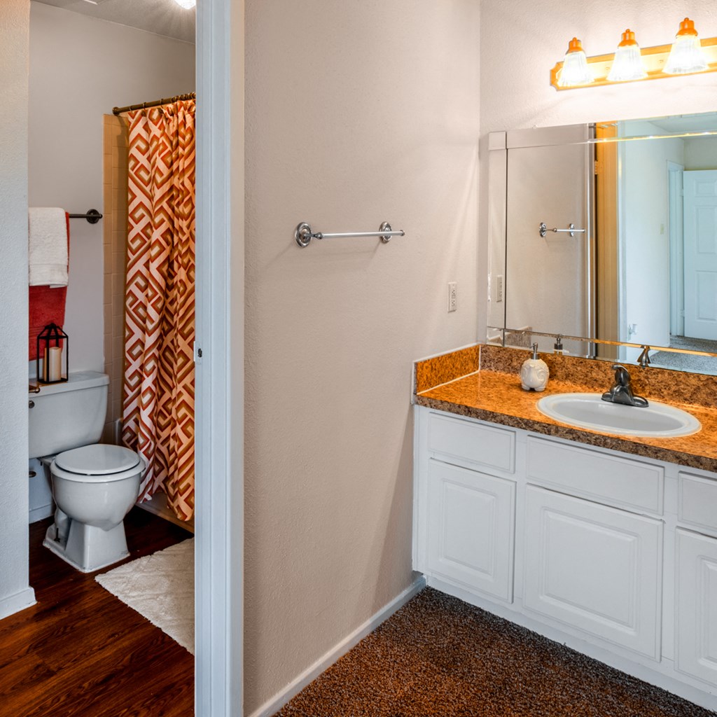 a bathroom with a toilet and a sink and a mirror