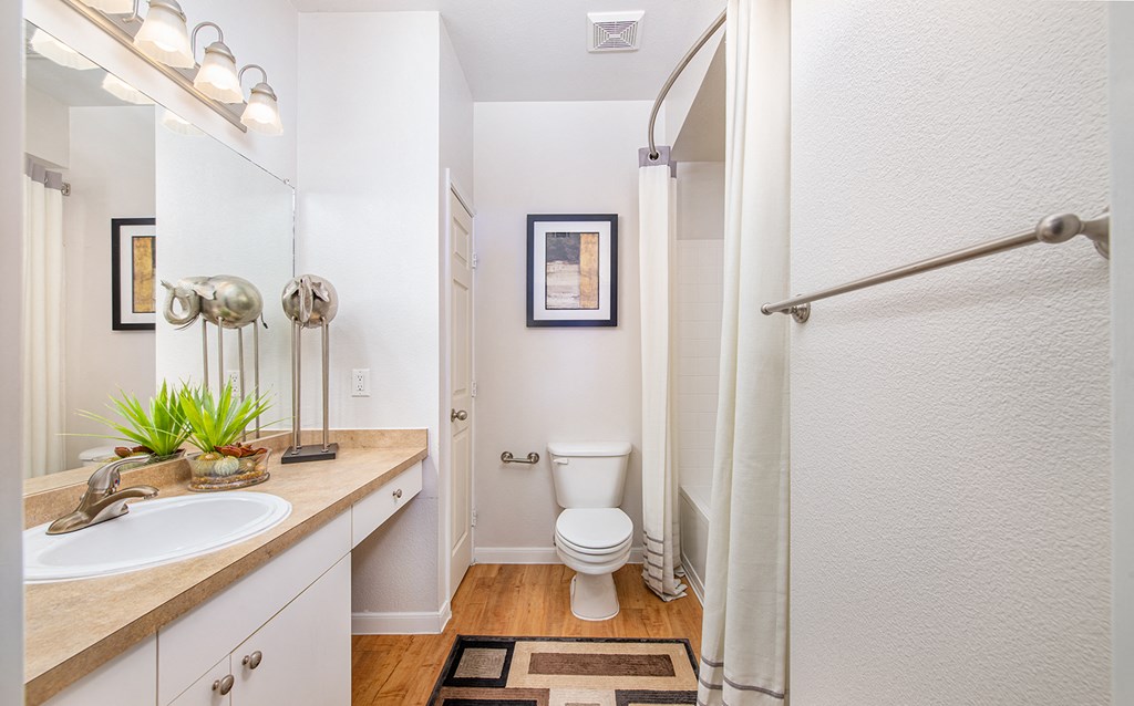 a bathroom with a shower toilet and sink