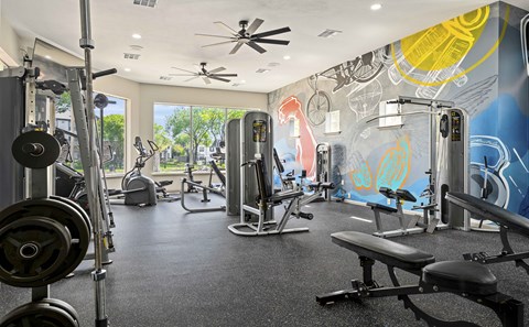 A gym with a variety of equipment including weights and cardio machines.