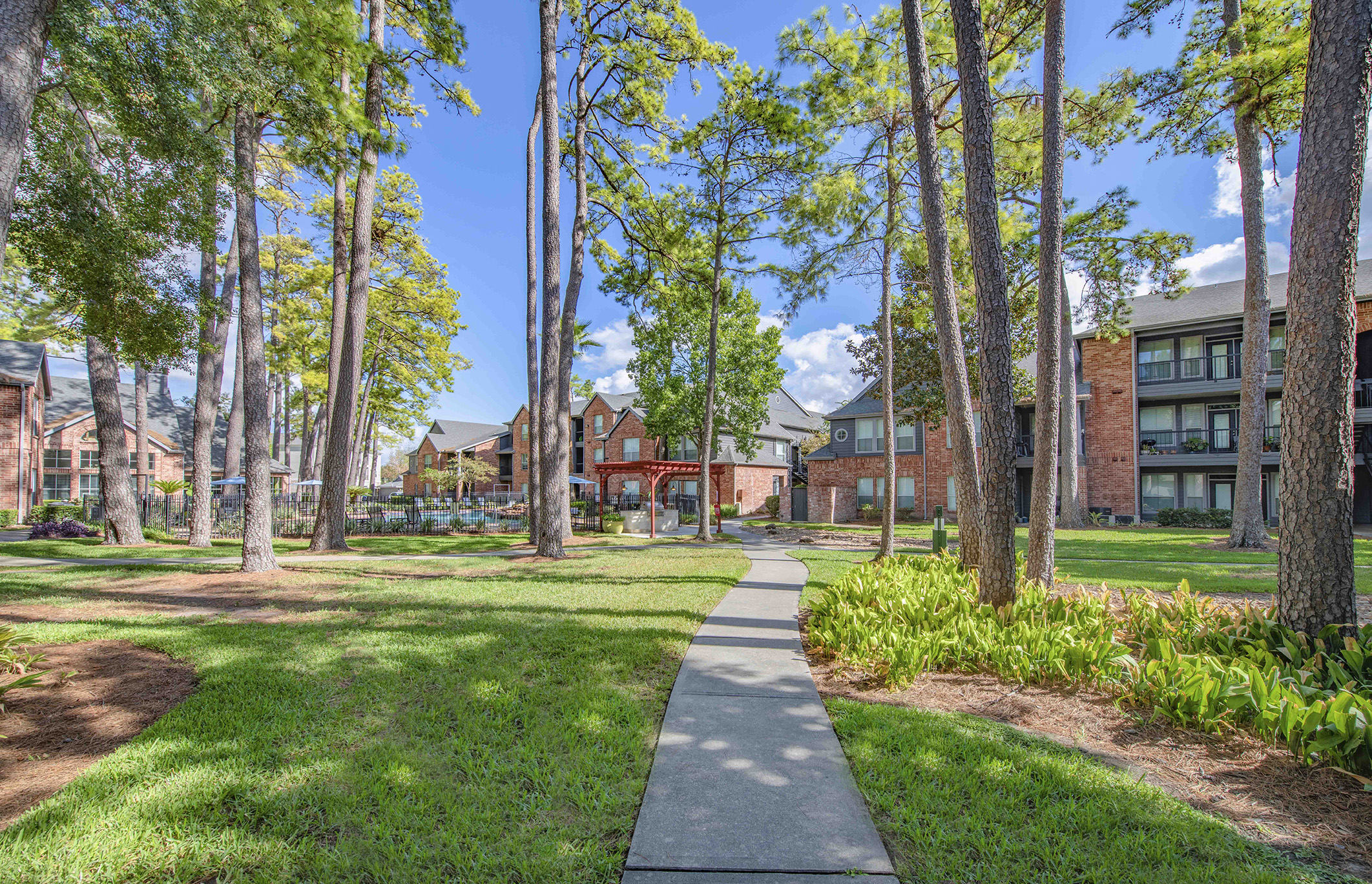 a sidewalk through a park with trees and buildings