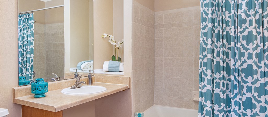 a bathroom with a sink and a shower