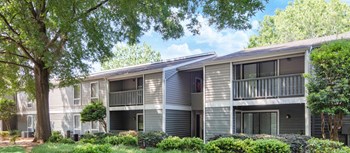 2418 Marchbanks Ave. 1-3 Beds Apartment for Rent - Photo Gallery 5