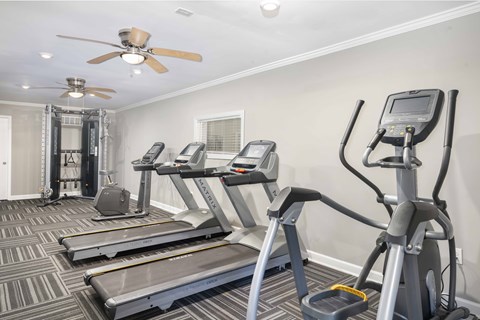 A well-equipped gym with treadmills, elliptical machines, and a fan.