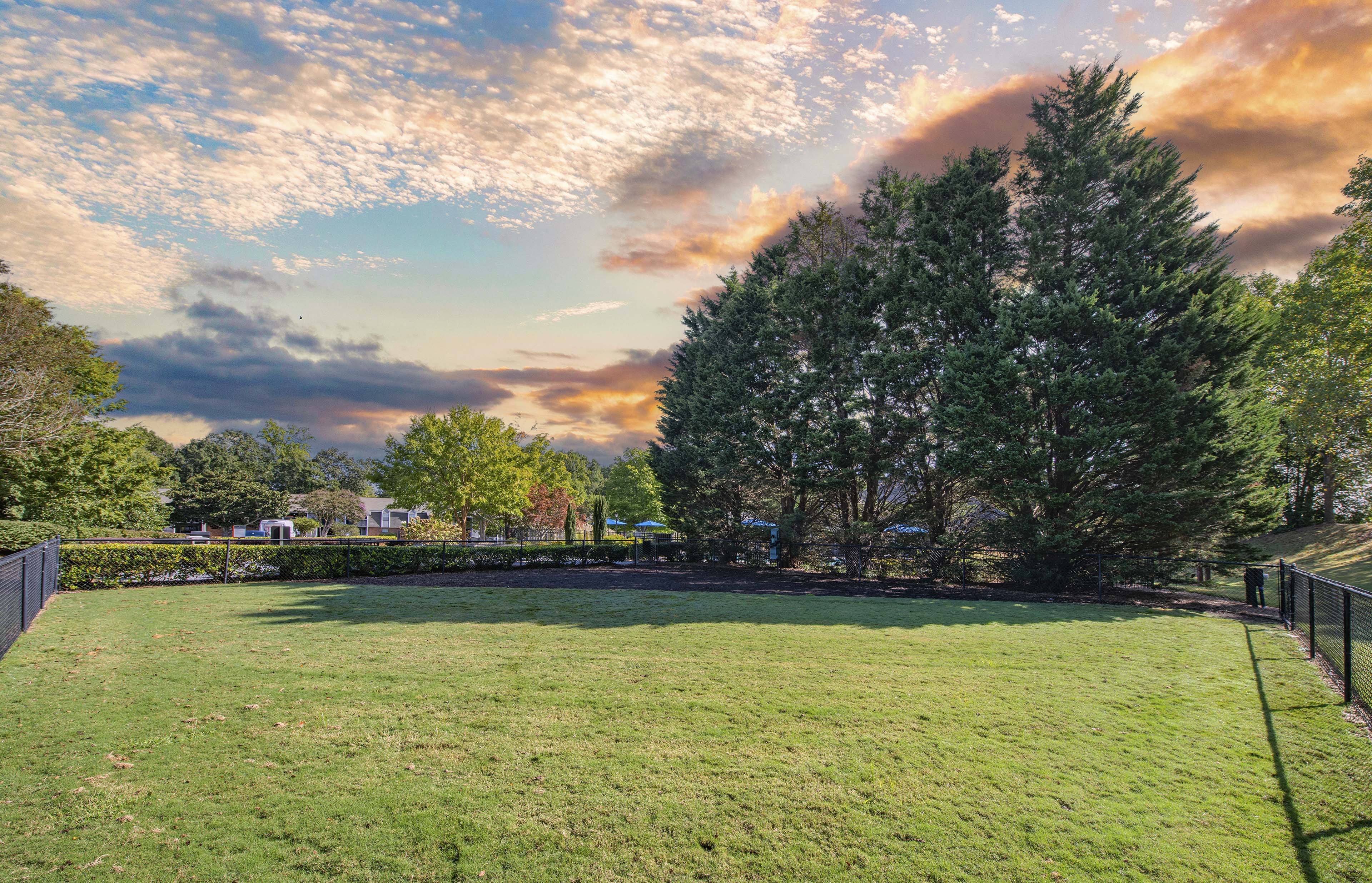 a park with a grass field and trees