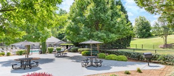 3549 Rutherford Road 1-2 Beds Apartment for Rent - Photo Gallery 4