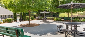 3549 Rutherford Road 1-2 Beds Apartment for Rent - Photo Gallery 5