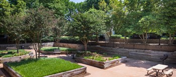 245 Congaree Road 1-2 Beds Apartment for Rent - Photo Gallery 3