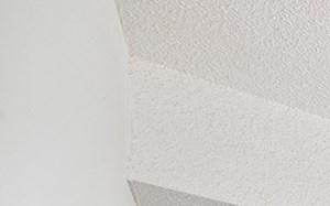 a bedroom with a bed and a ceiling fan