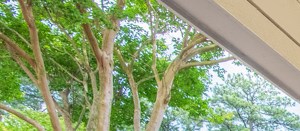 25 Best Luxury Apartments In Spartanburg Sc With Photos Rentcafe