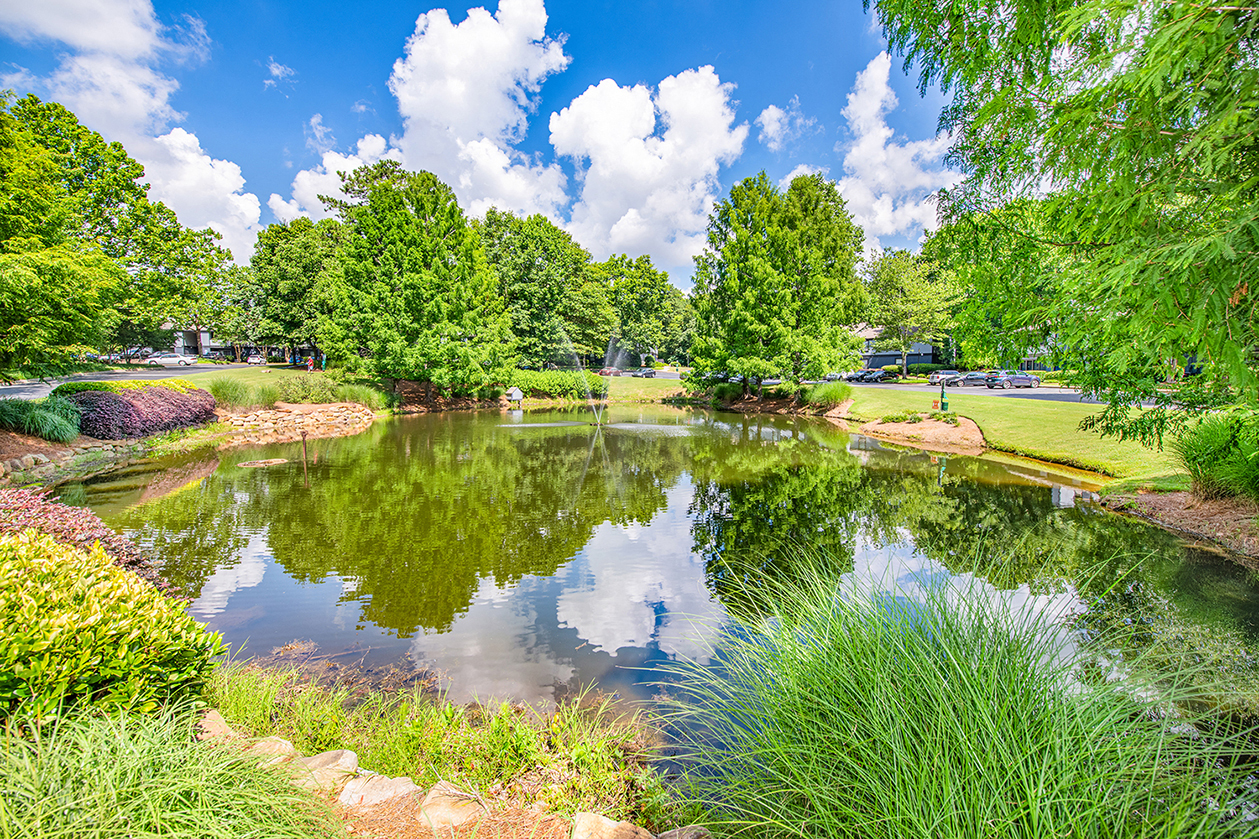 a pond in a park with trees