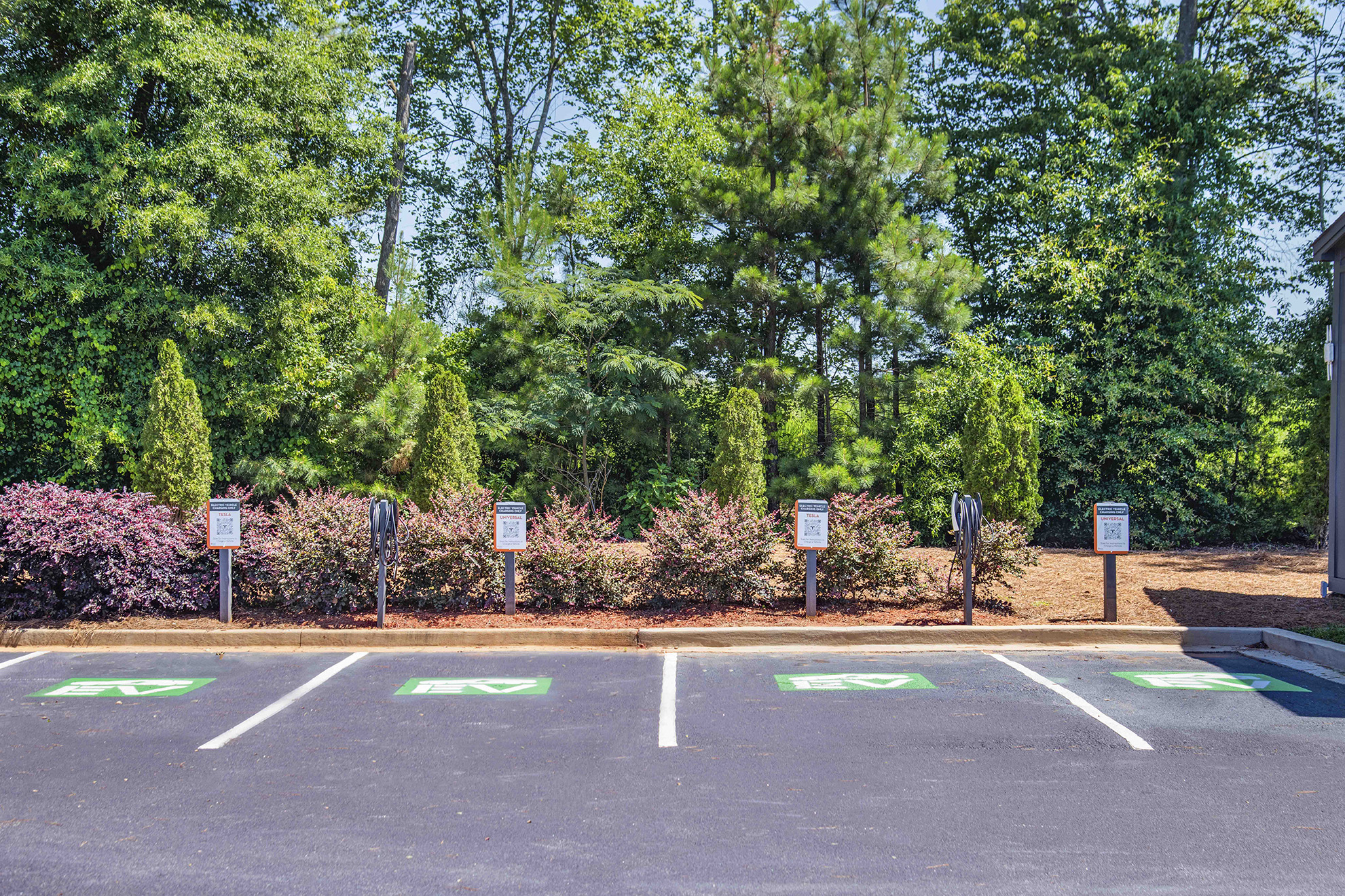 a parking lot with parking signs in front of trees