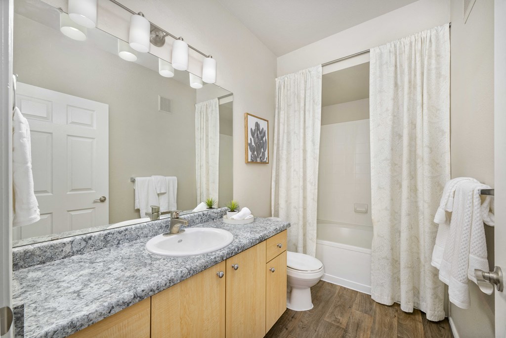a bathroom with a sink and a toilet and a mirror