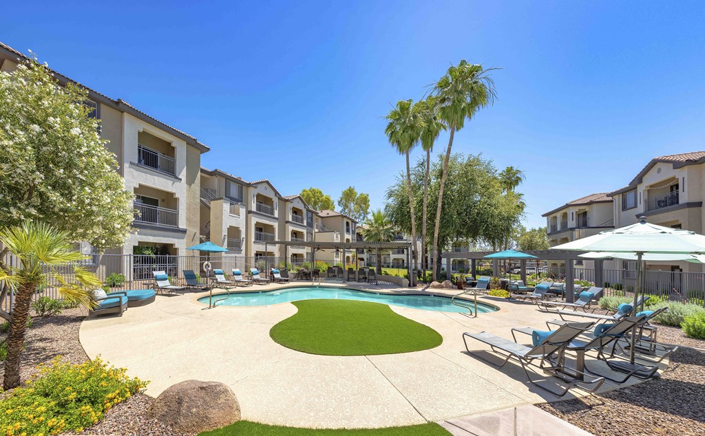 our apartments offer a swimming pool with palm trees