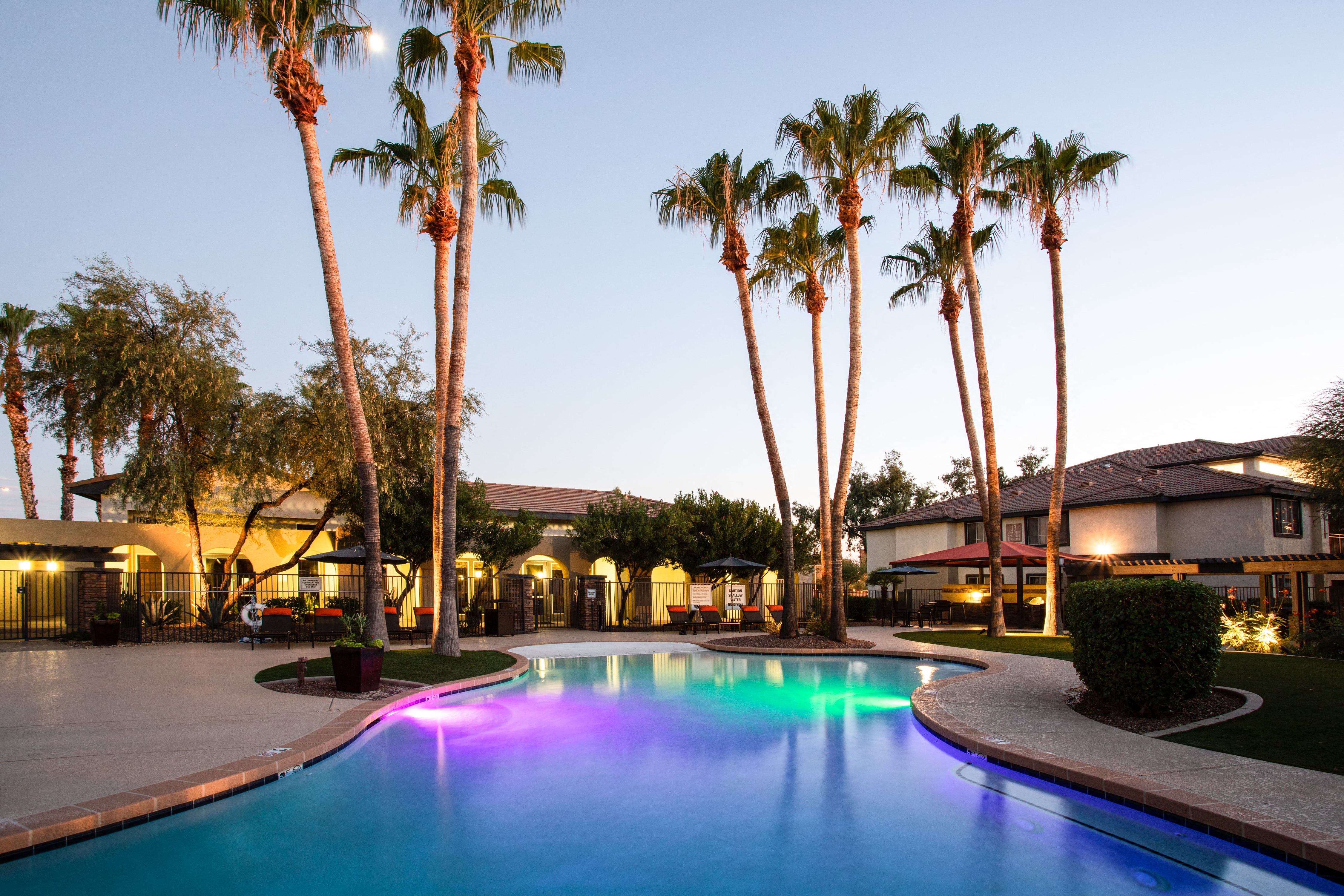 a large swimming pool surrounded by palm trees at night