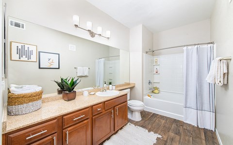 a bathroom with a shower toilet and sink and a mirror
