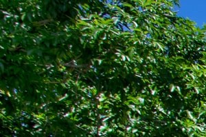 Sky View Ranch Apartments 4632 E Germann Rd Gilbert Az Rentcafe