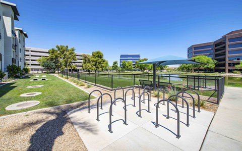 A sunny day at a park with a row of black metal bike racks.