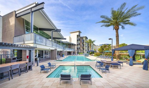 A pool area with a palm tree in the background.