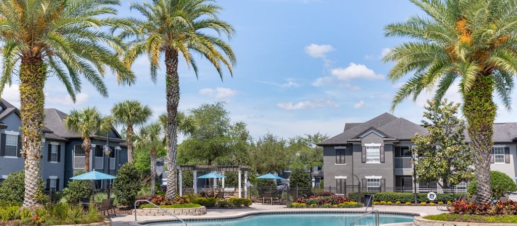 A swimming pool surrounded by palm trees and houses.