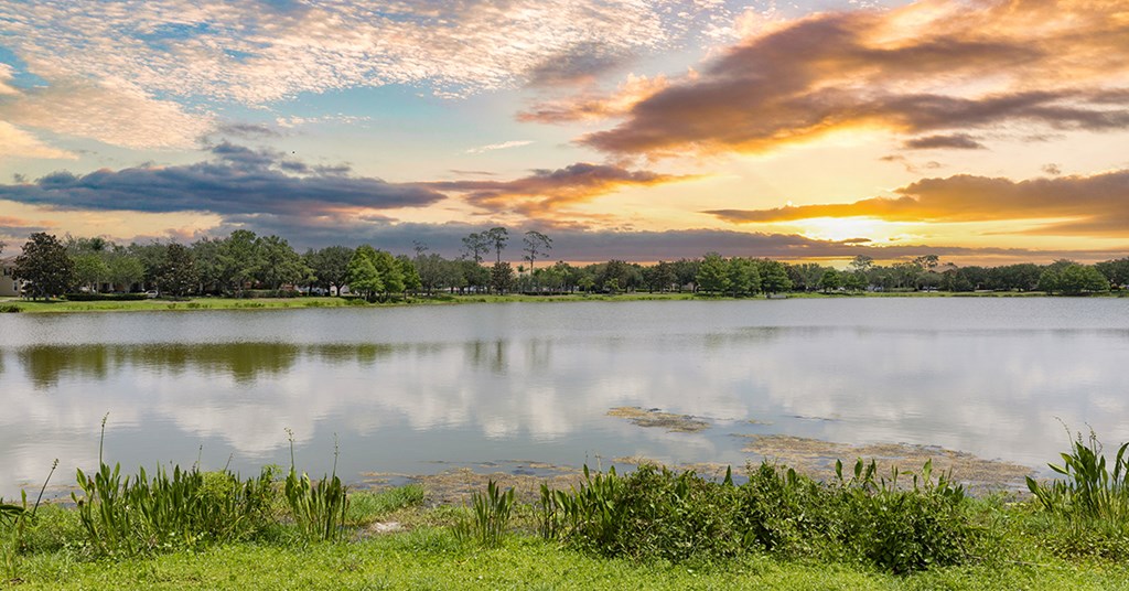 A serene landscape with a lake, trees, and a sunset.