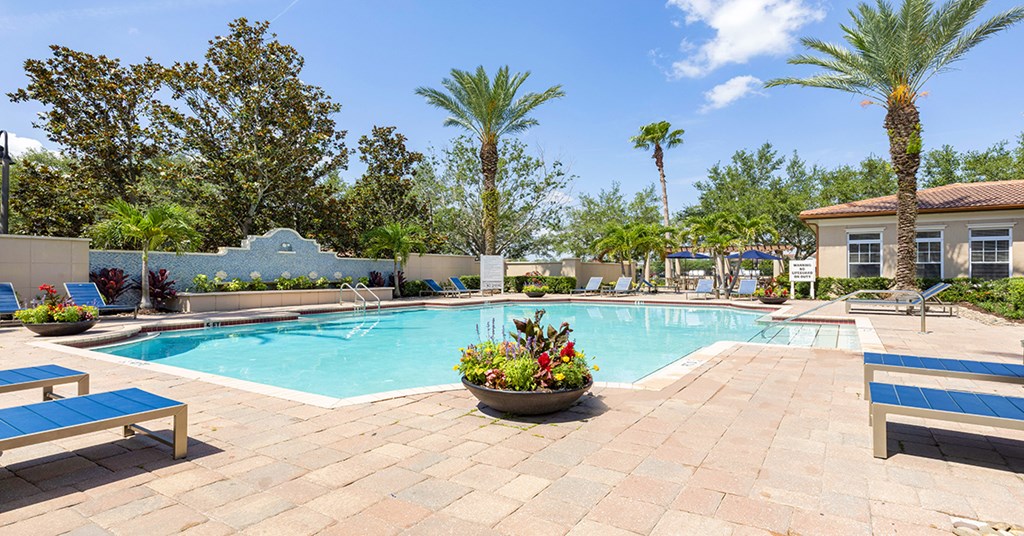 A pool surrounded by palm trees and a bench.