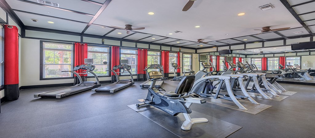 the gym has cardio machines and treadmills and windows
