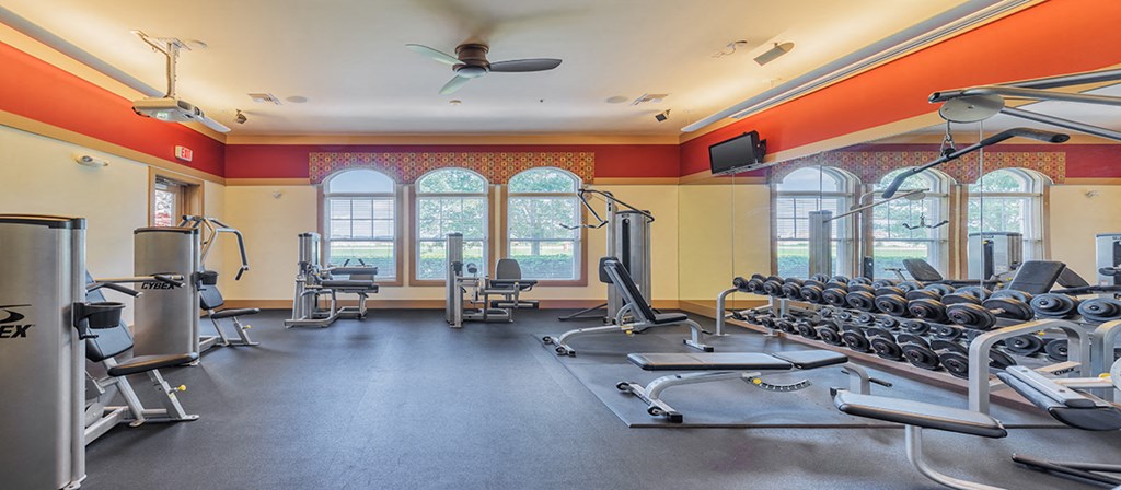 a gym with cardio machines and weights and windows