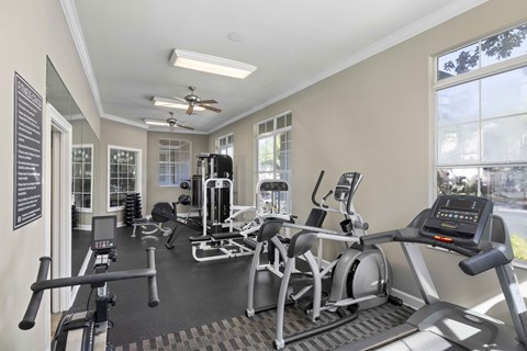 A gym with a variety of equipment including treadmills, weights, and a fan.