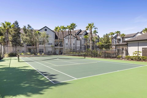 A tennis court is surrounded by a fence and palm trees.
