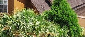 8425 Montravail Circle 1-3 Beds Apartment for Rent - Photo Gallery 4
