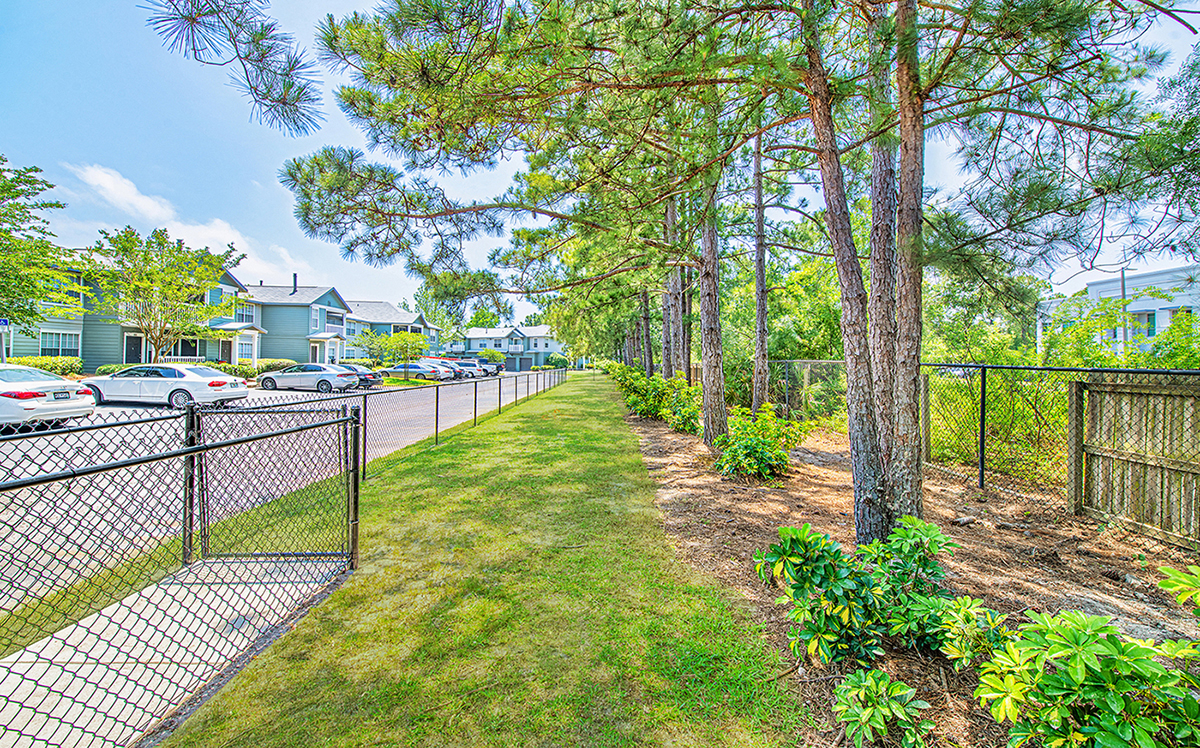 the yard is fenced off with a chain link fence