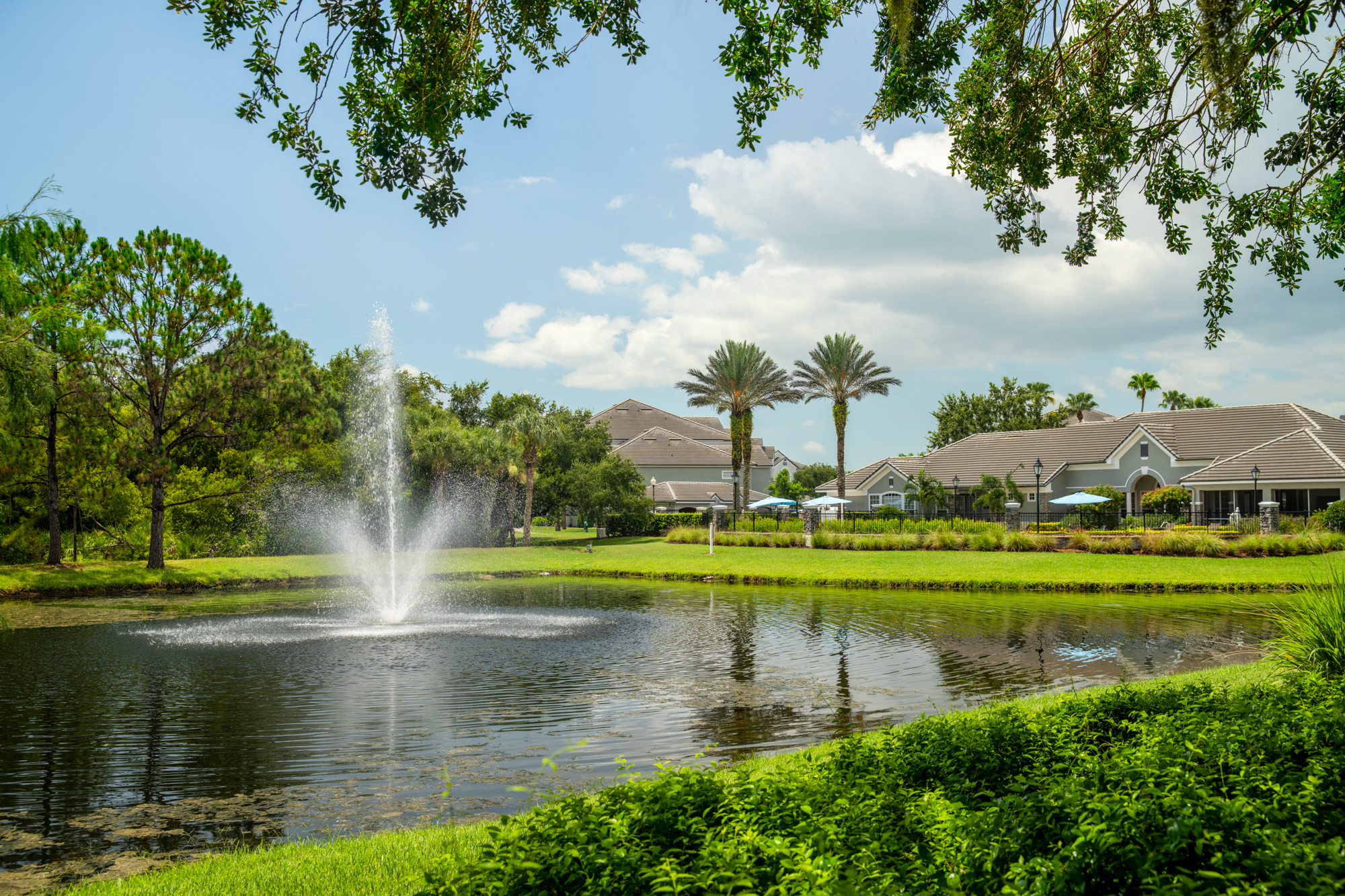 a lake with a fountain in the middle of it surrounded by houses