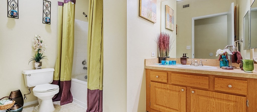 a bathroom with a toilet and a sink and a shower