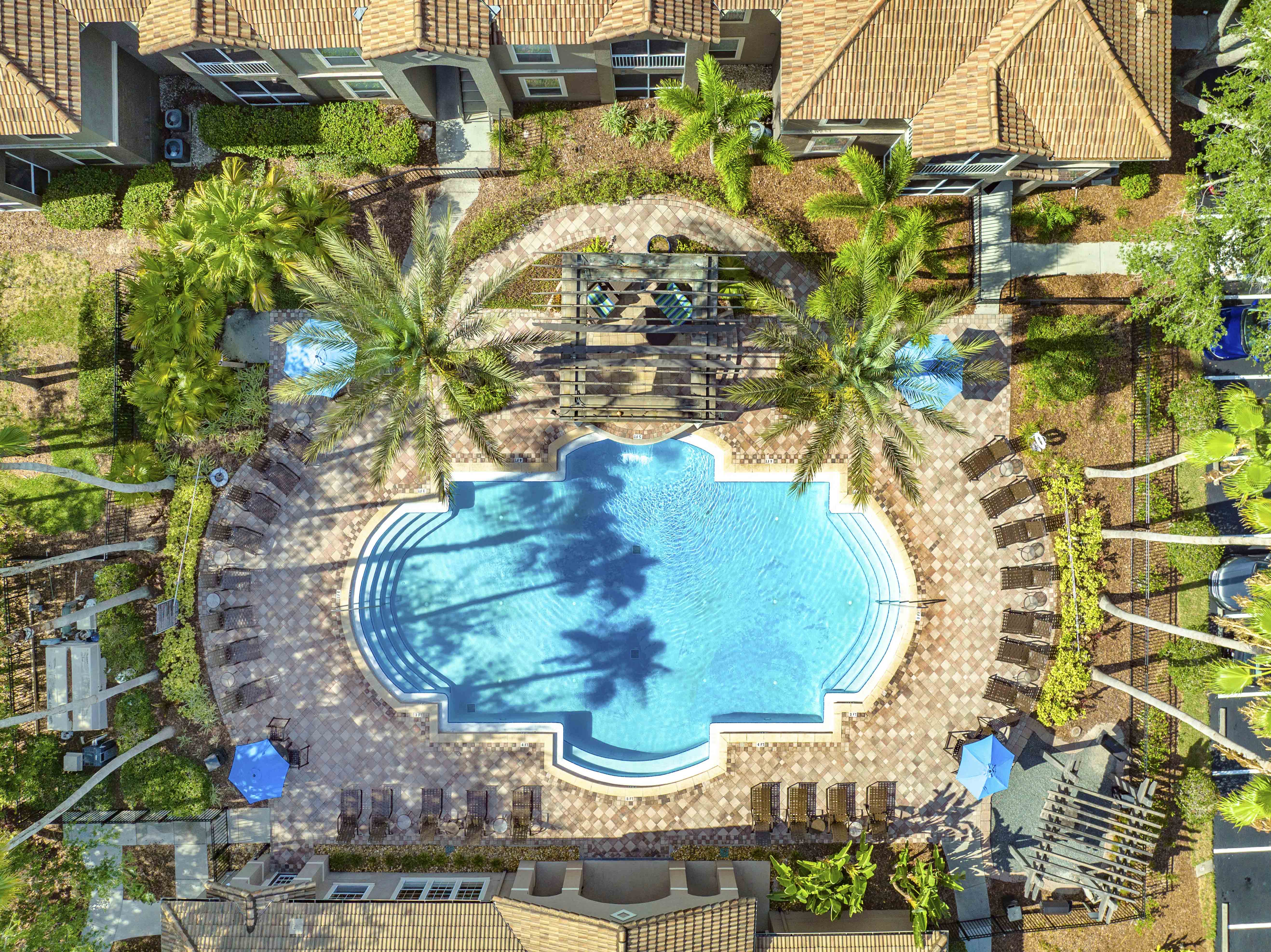 an overhead view of an infinity pool with palm trees and umbrellas