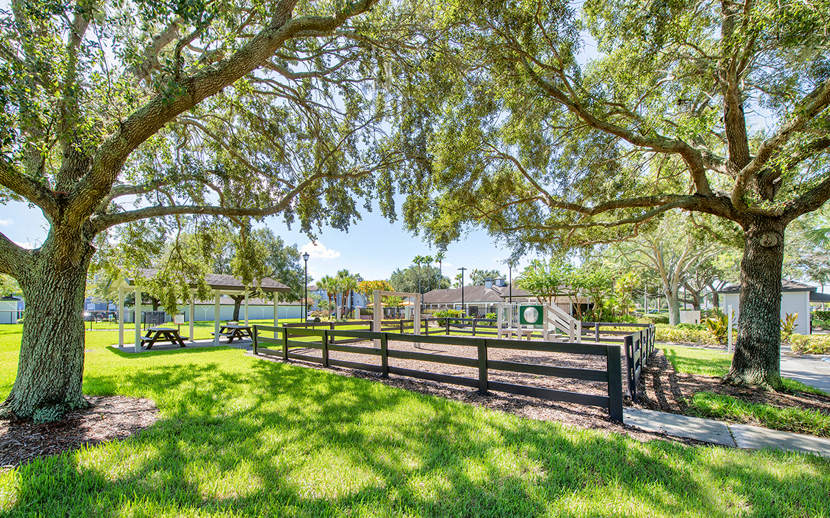 a park with trees and a fence