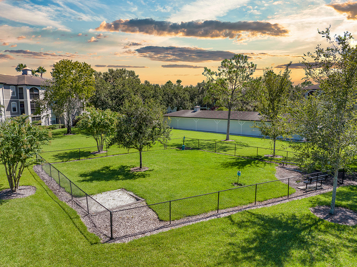 a park with trees and a tennis court at sunset