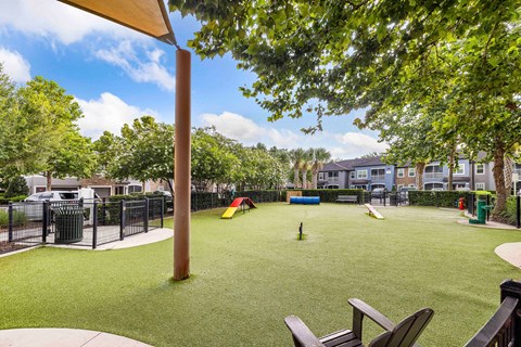 a yard with a playground and a dog park