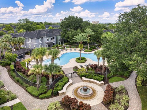 an aerial view of a swimming pool with palm trees