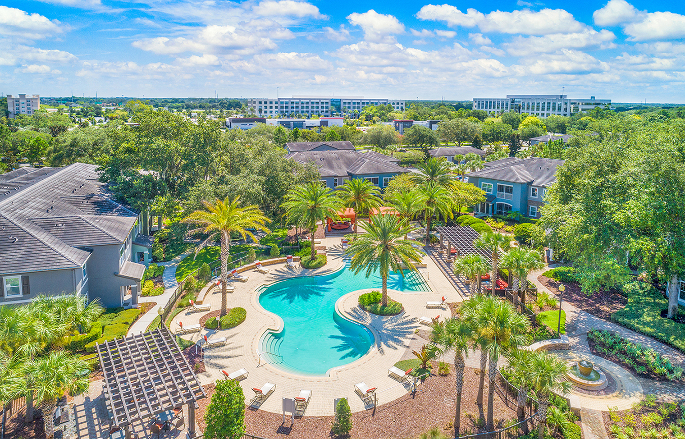 an aerial view of a swimming pool with palm trees