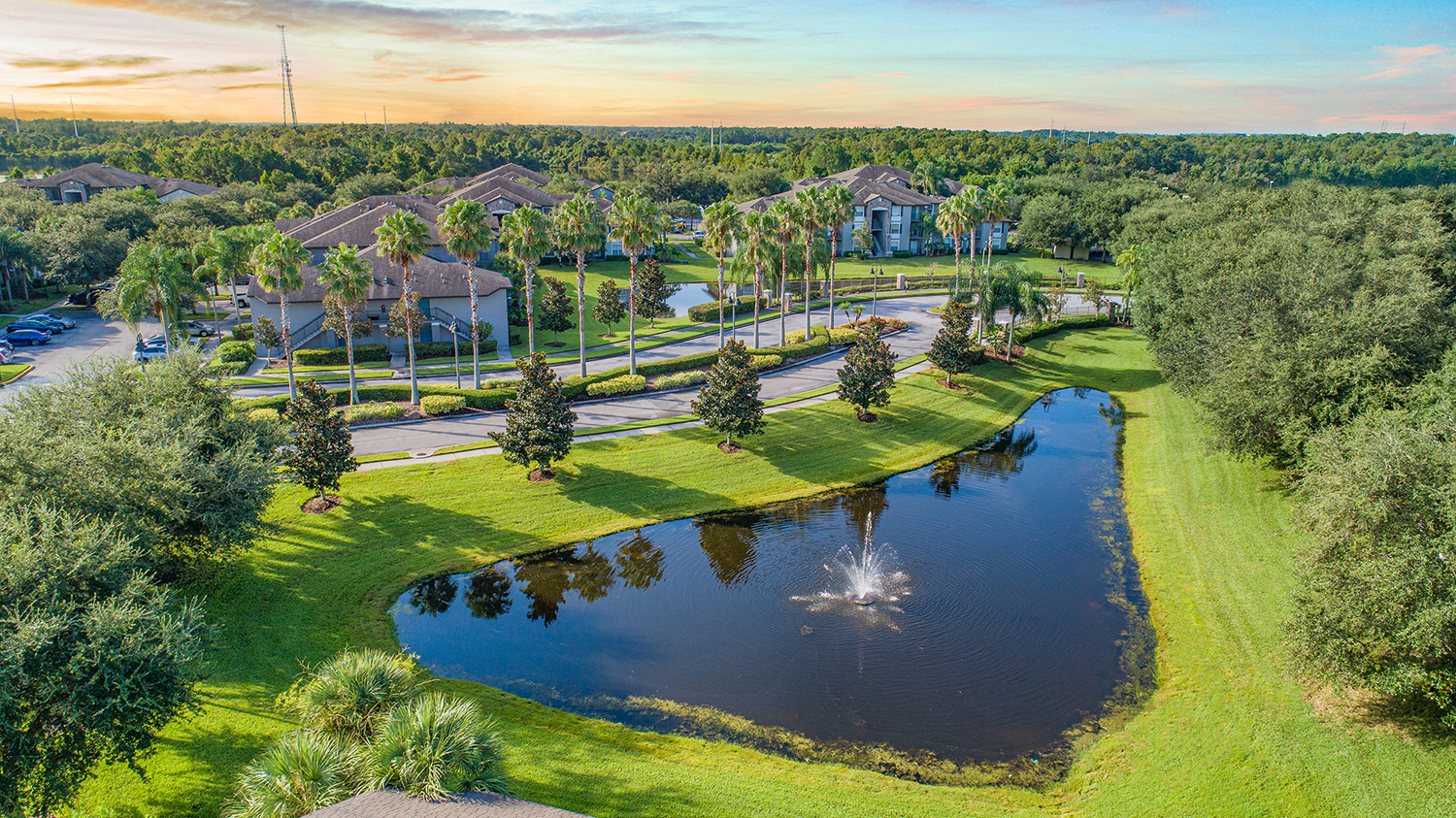 an aerial view of a community with a pond and trees