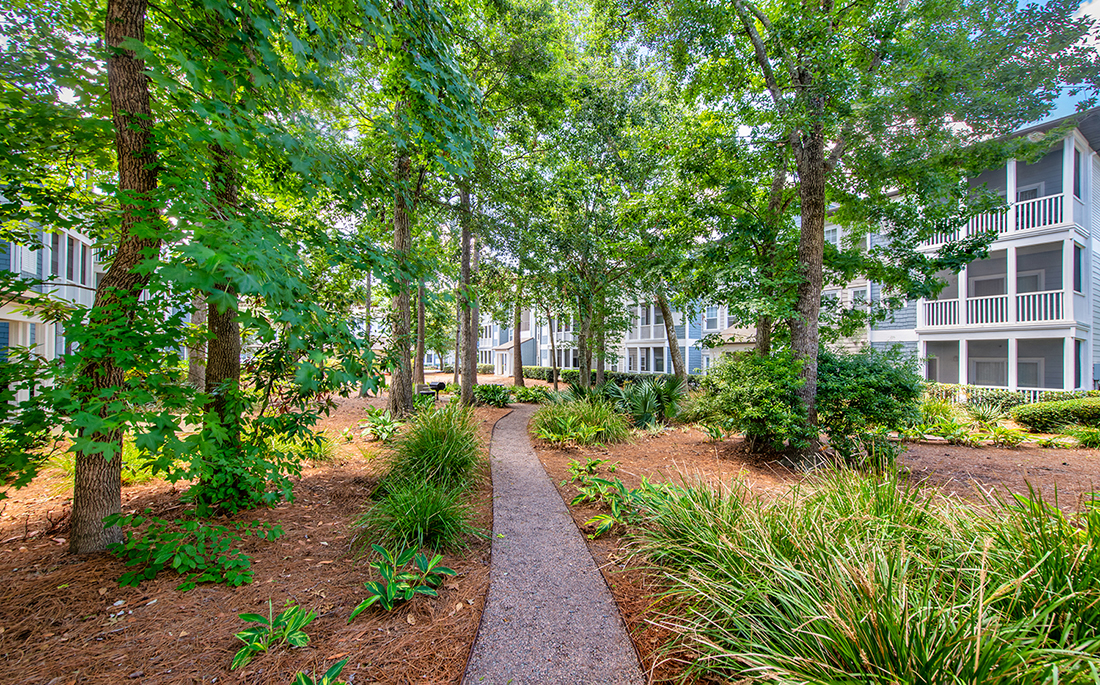 a walkway through the trees in front of an apartment building