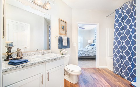 a bathroom with a blue and white shower curtain and a toilet and sink