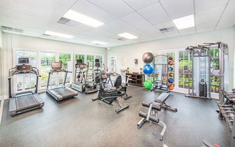 the gym is equipped with state of the art equipment including cardio machines and weights