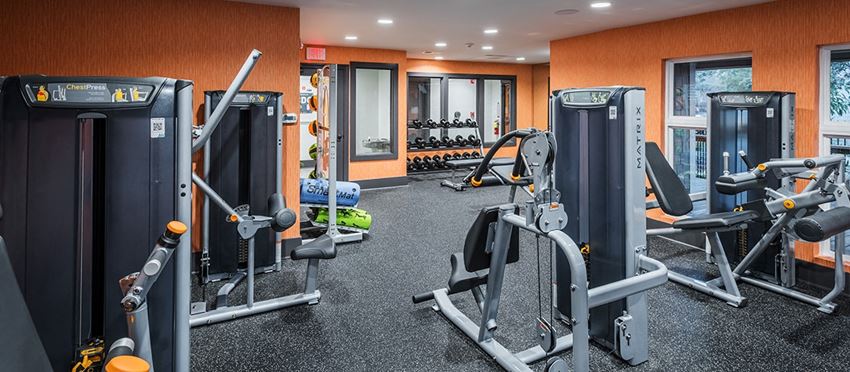 Quarterdeck At James Island