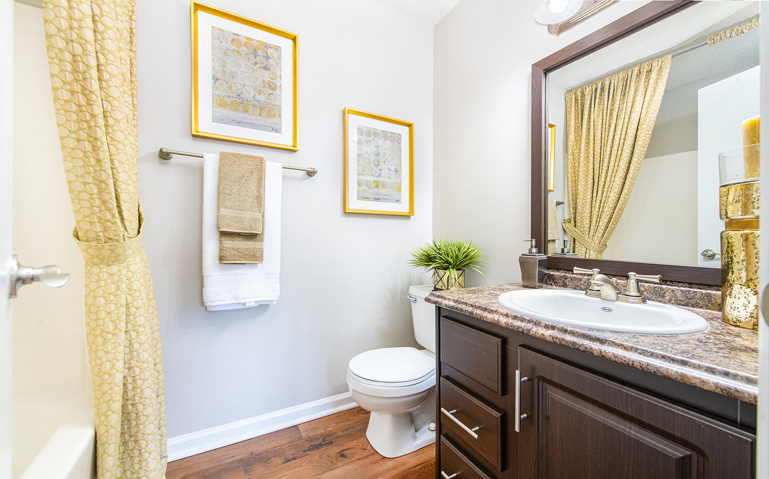 a bathroom with a toilet and a sink and a mirror