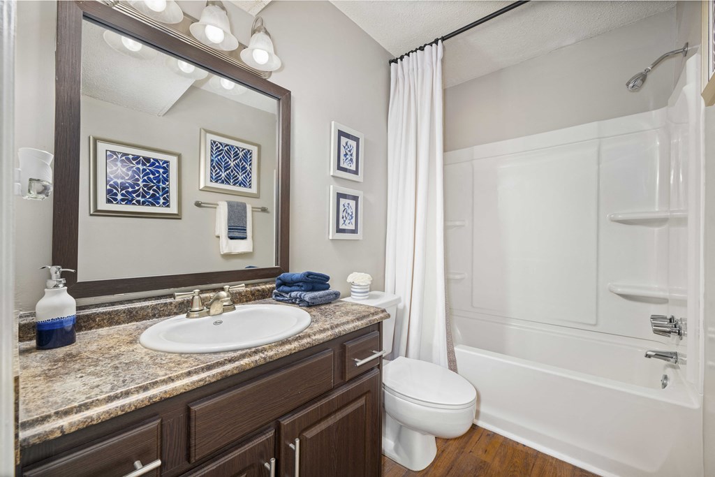 a bathroom with a shower sink and toilet and a mirror