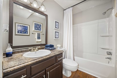 a bathroom with a shower sink and toilet and a mirror