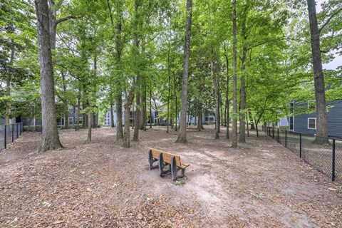 a park with a bench in the middle of the trees