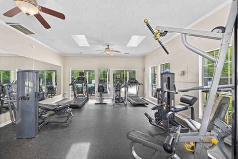 the gym is equipped with cardio equipment and weights